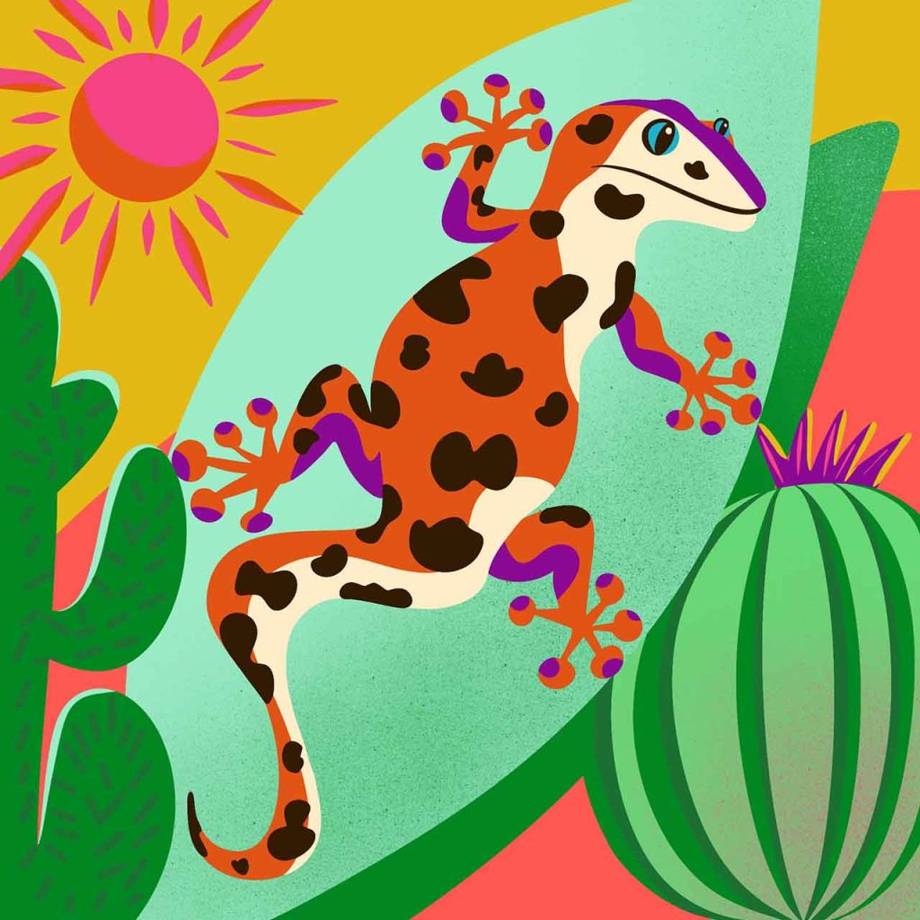 The illustration shows a gecko sunbathing on a succulent leave. There are cactuses beside him and a friendly orange red sun is shining from above. The illustration has bold and vibrant colors, round shapes and warm textures.